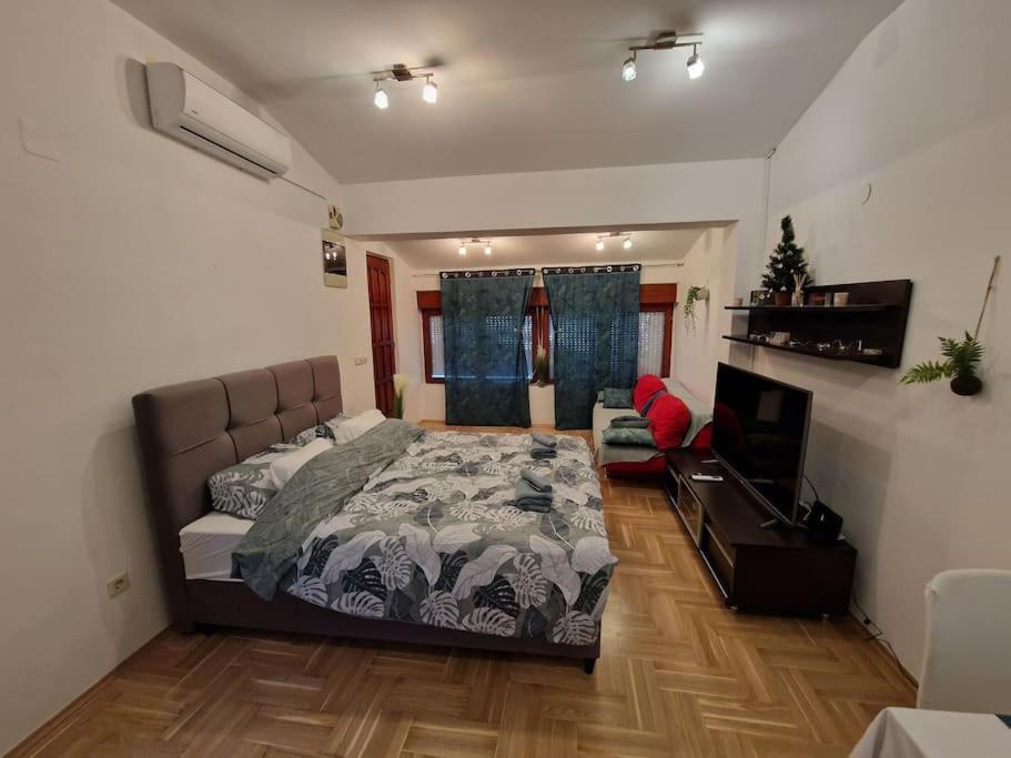 Warm House Full Of Green Ambient,Joy And Comfort 萨格勒布 外观 照片