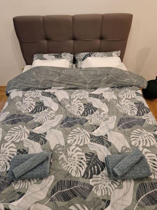 Warm House Full Of Green Ambient,Joy And Comfort 萨格勒布 外观 照片